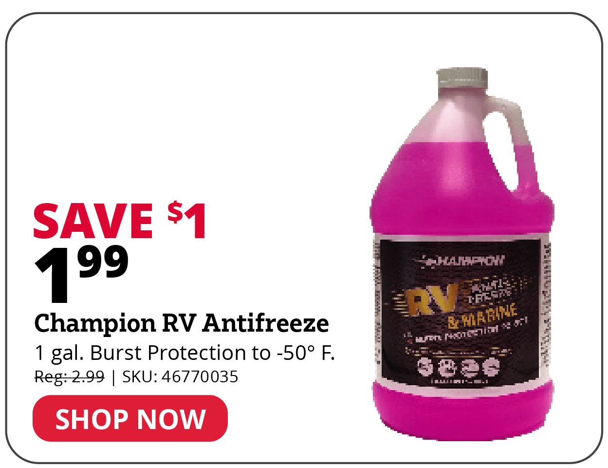 Champion RV Antifreeze