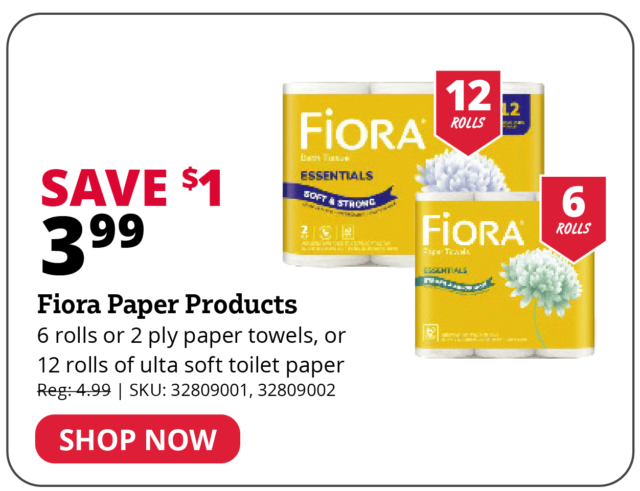 Fiora Paper Products
