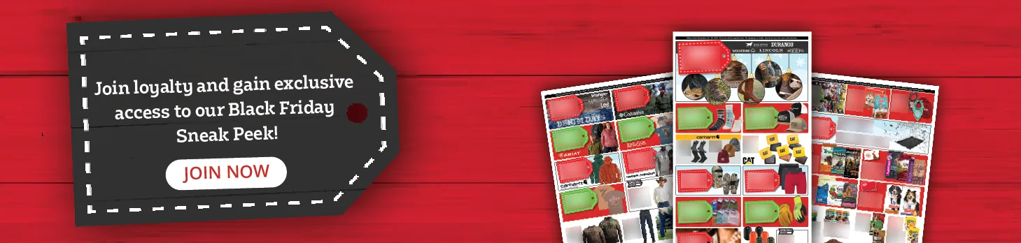 Black Friday Sneak Peek