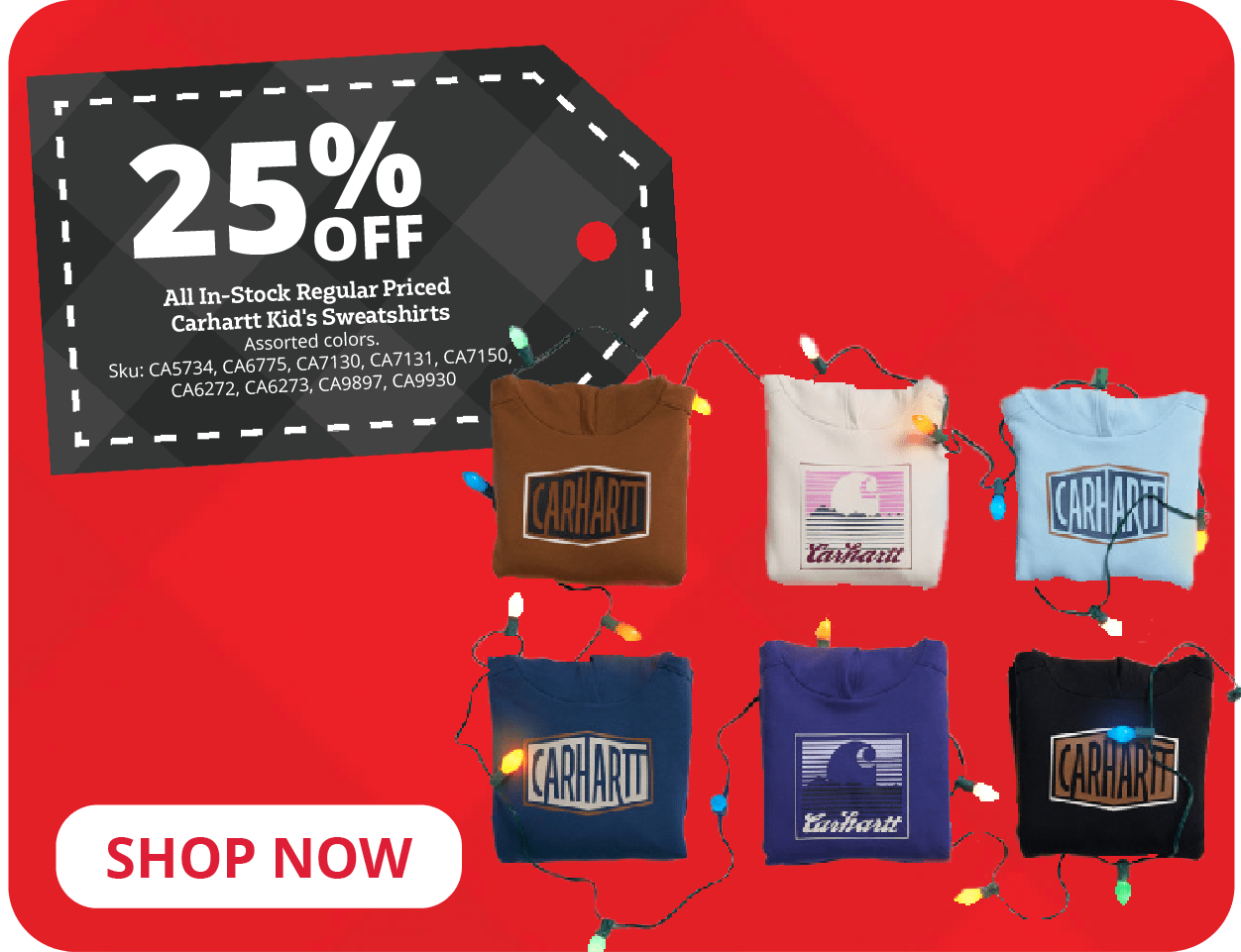 25% Off All In-Stock Regular Priced Carhartt Kid's Sweatshirts