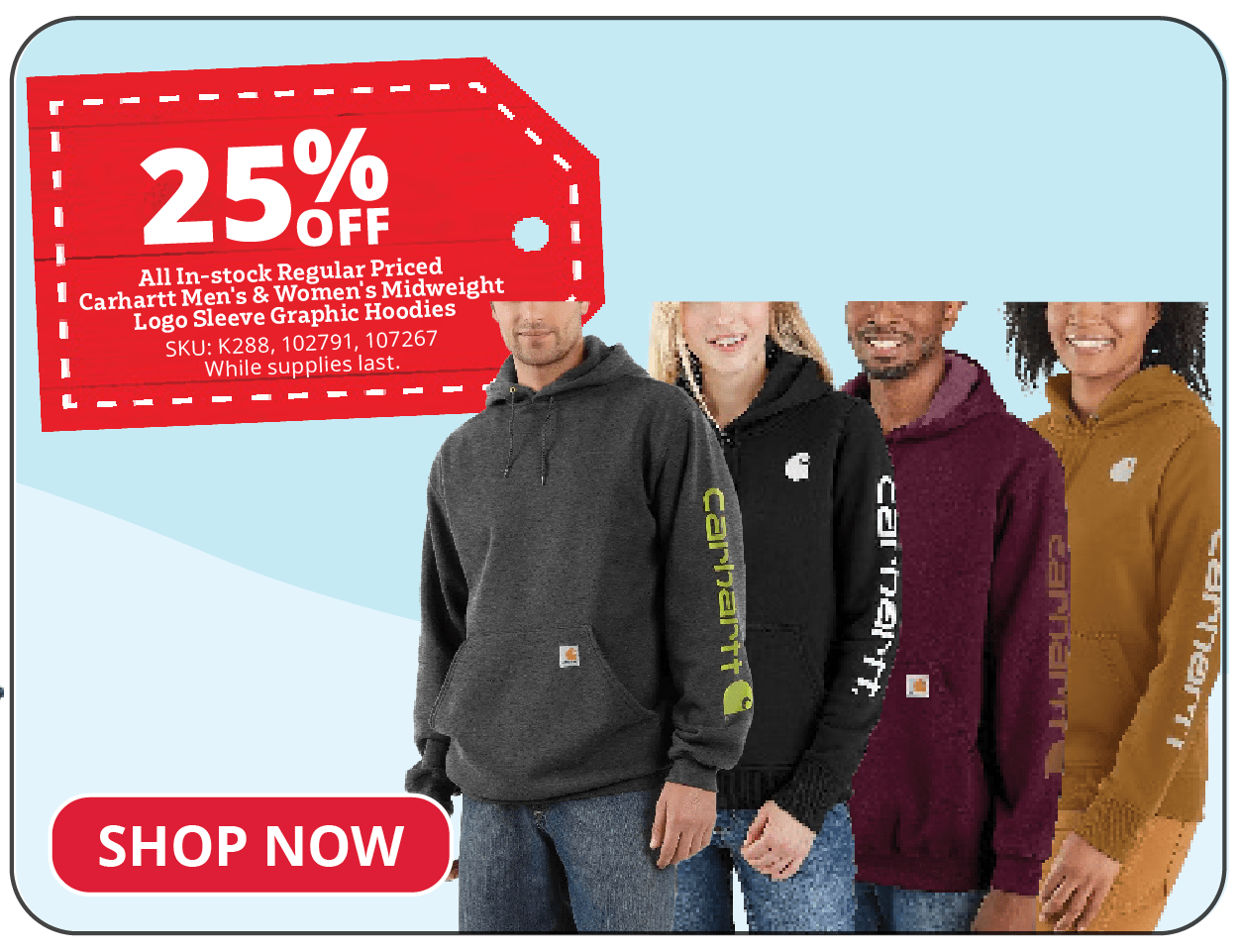 25% Off All In-Stock Regular Priced Carhartt Men's & Women's Midweight Logo Sleeve Graphic Hoodies