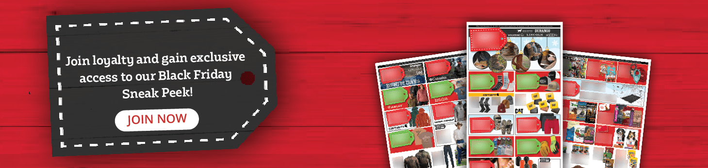 Join Loyalty for Sneak Peek