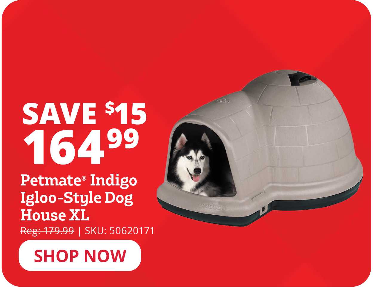 Petmate Indigo Igoo-Style Dog House XL