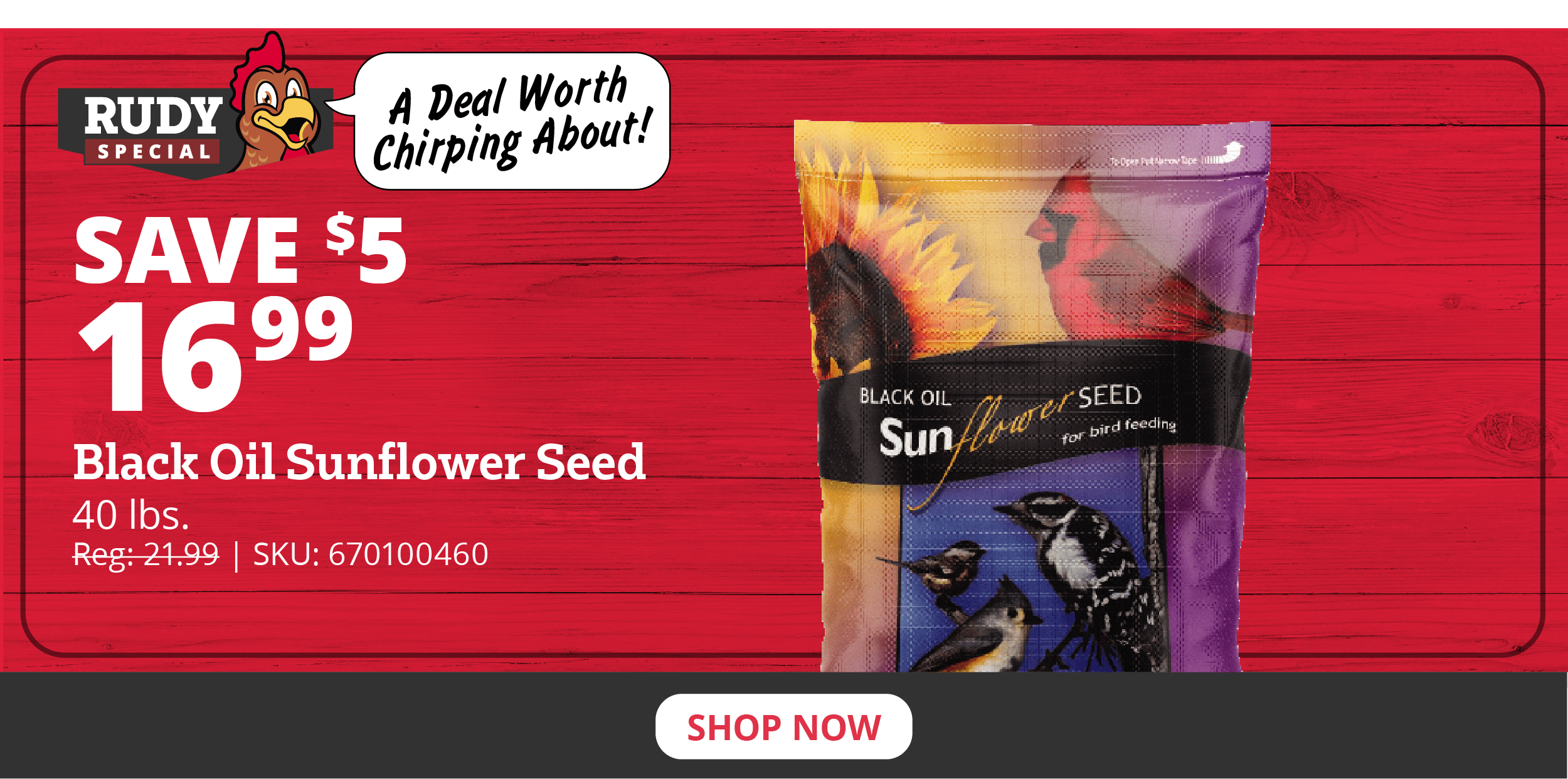 Black Oil Sunflower Seeds