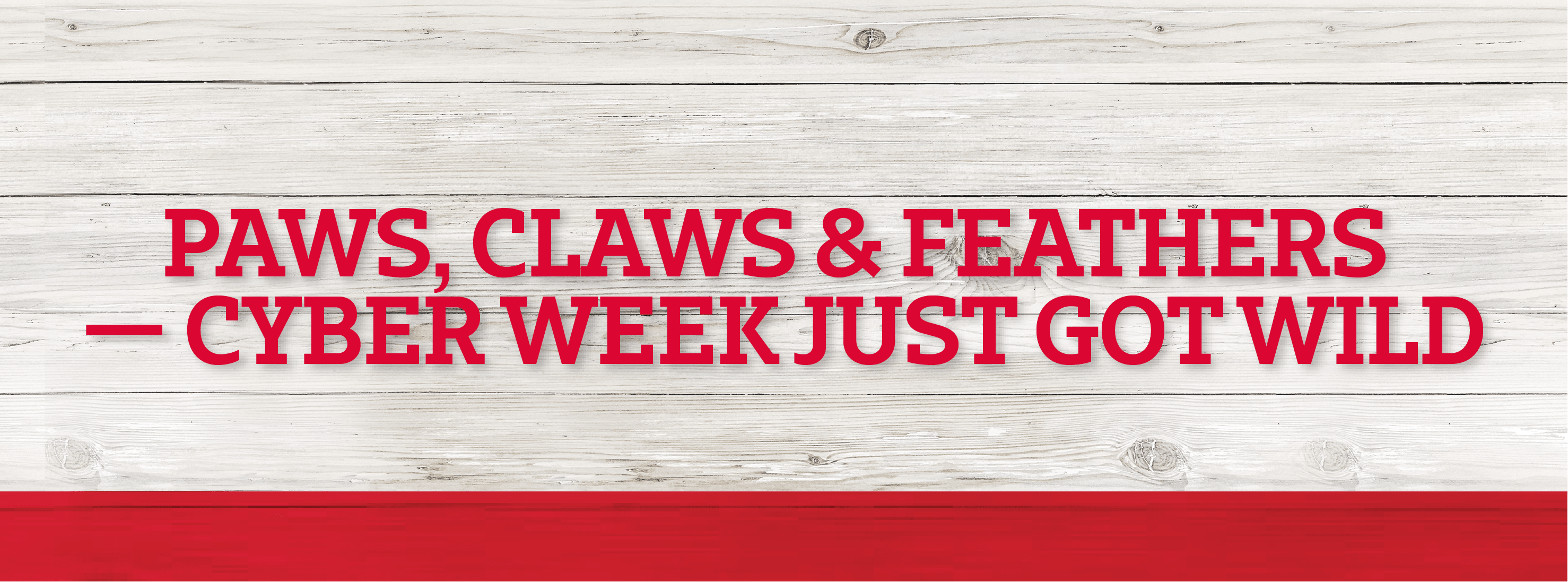 Paws, Claws & Feathers