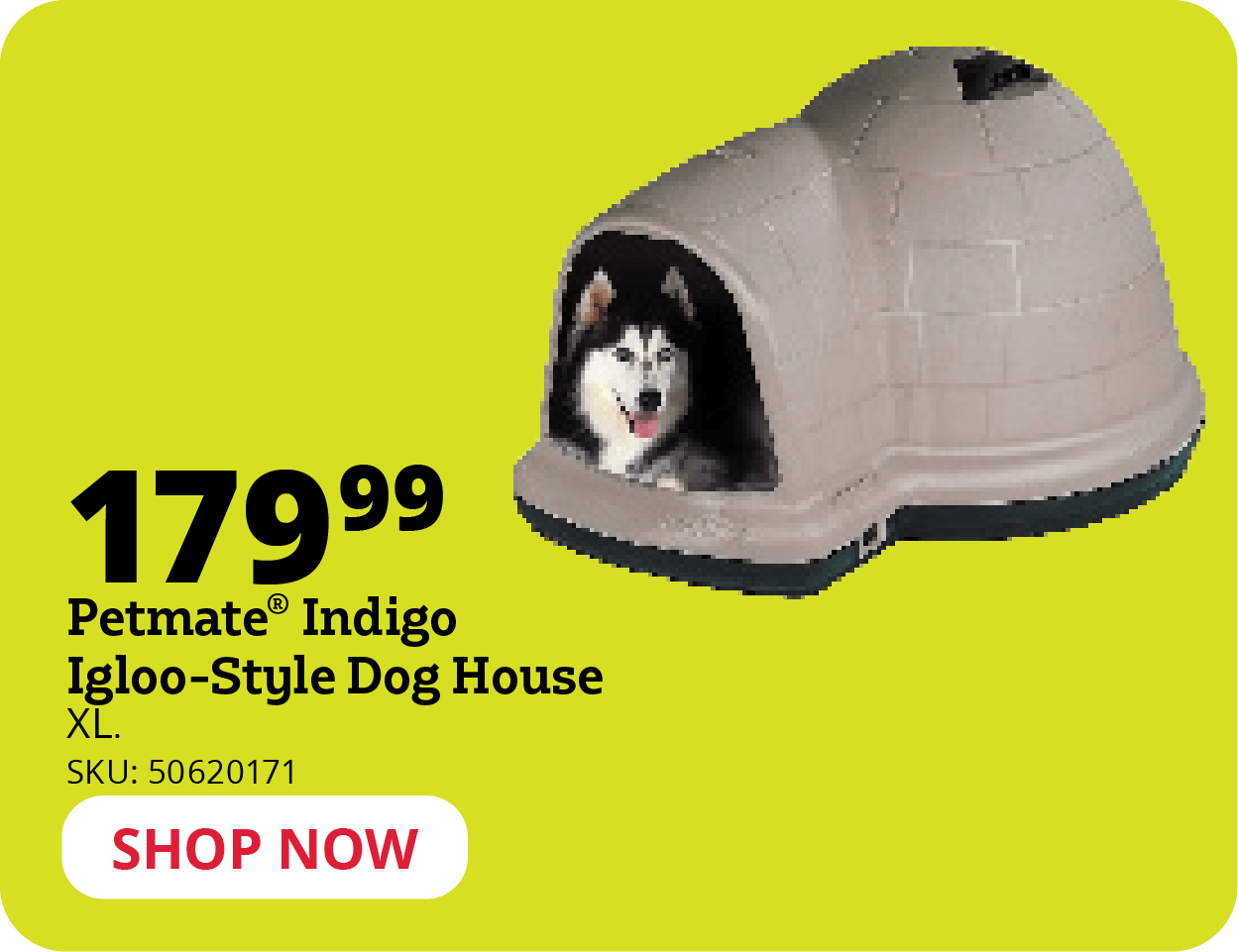 Petmate Indigo Igloo-Style Dog House