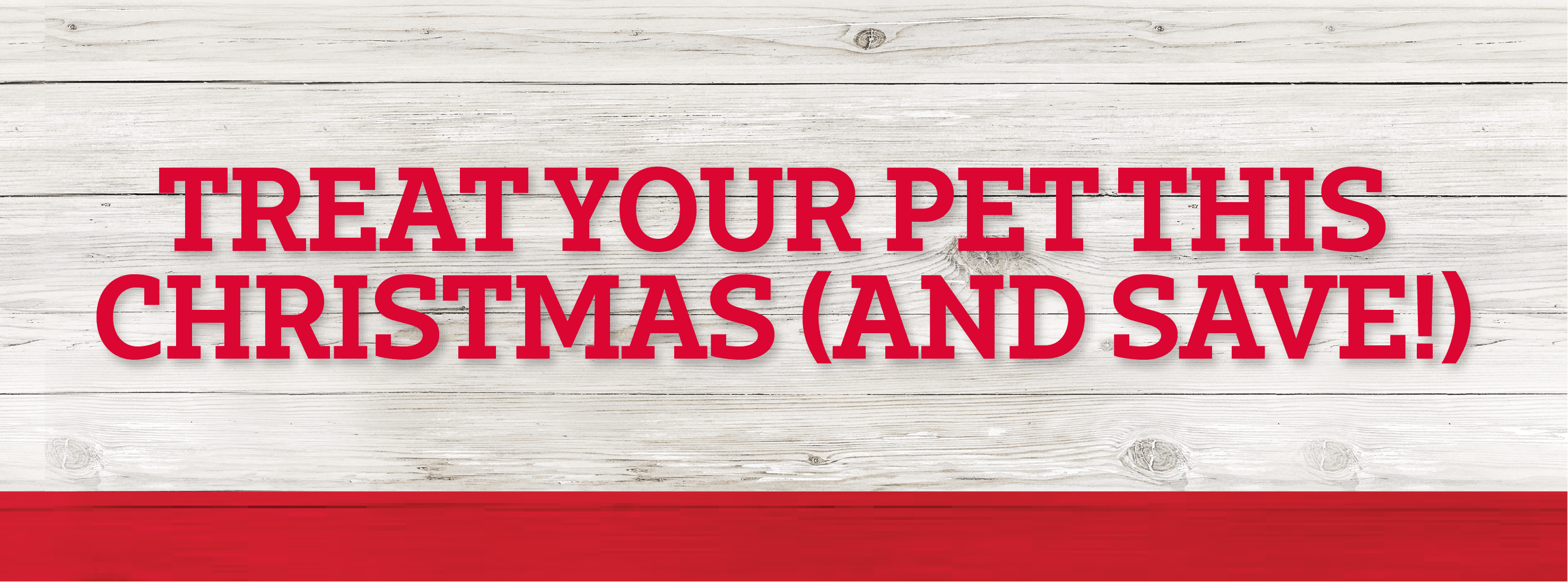 Treat Your Pet This Christmas (And Save)