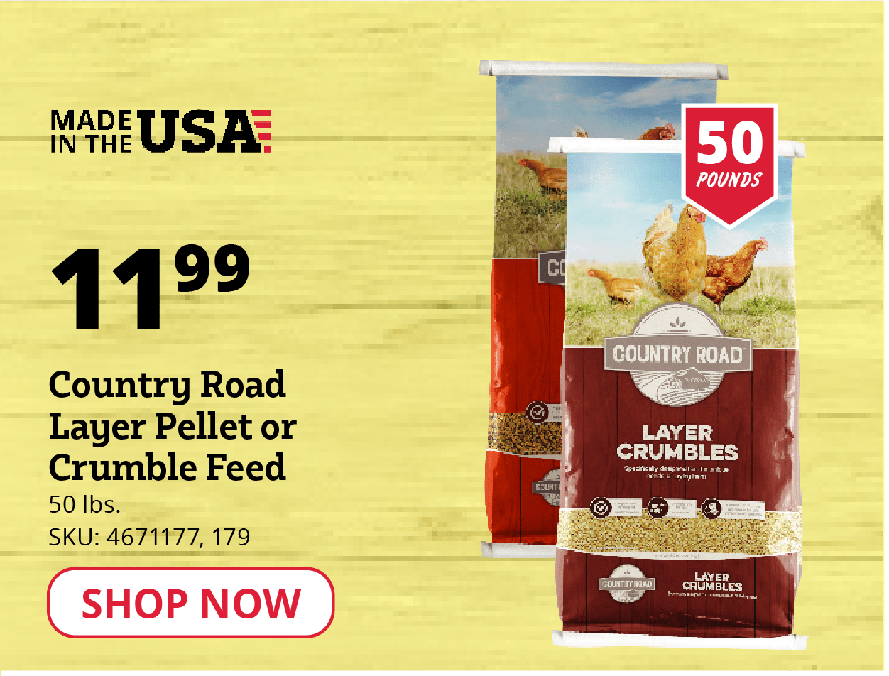 Country Road Layer Pellet or Crumble Feed