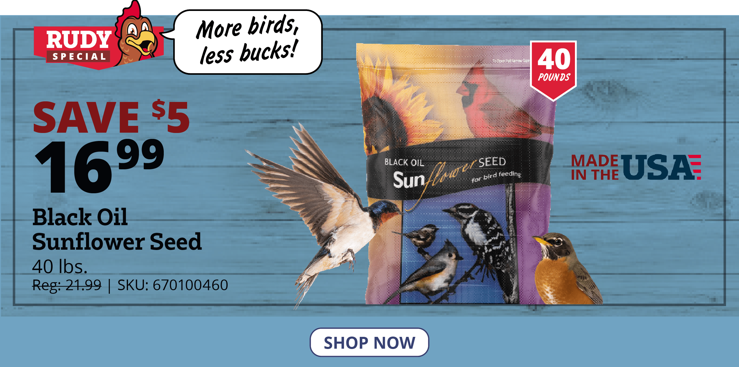 Black Oil Sunflower Seed