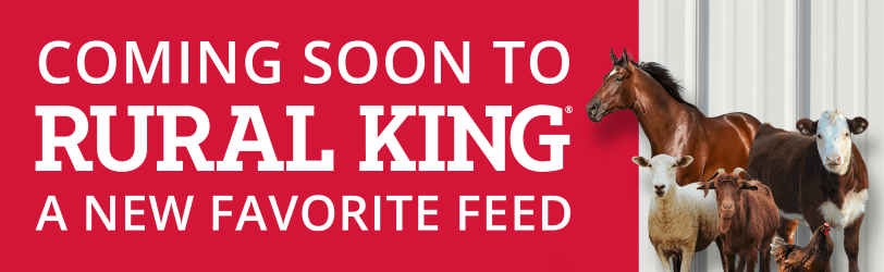 Something New is Coming