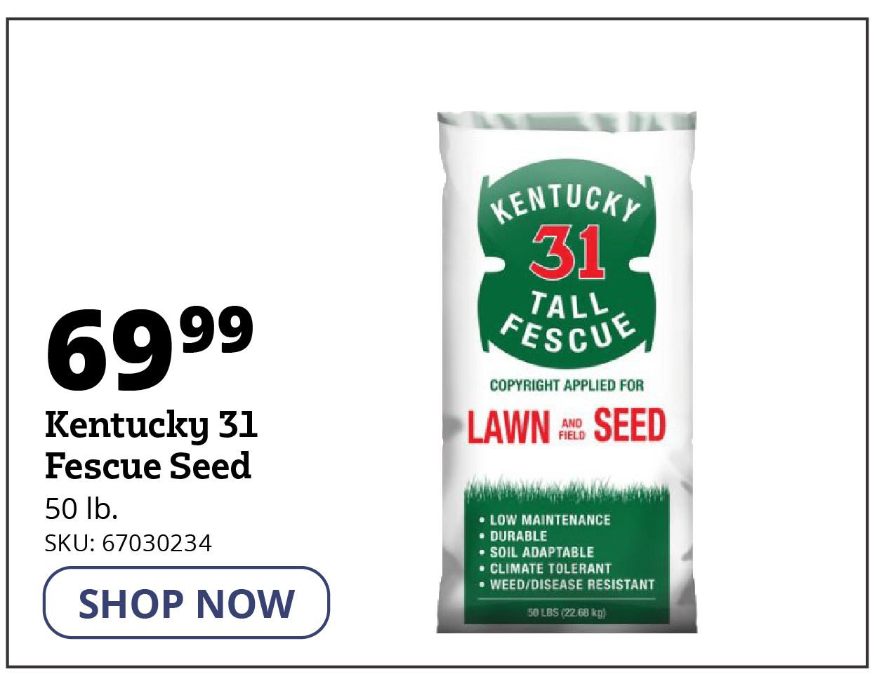  "Kentucky