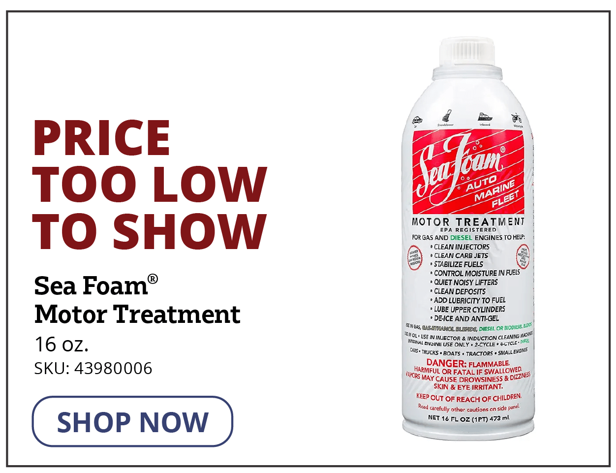 Sea Foam® Motor Treatment