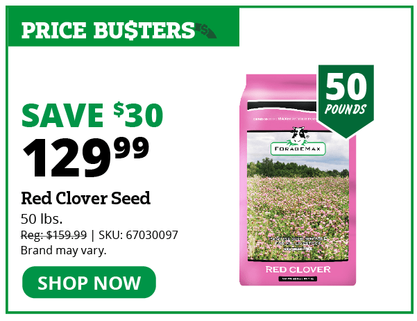 Red Clover Seed
