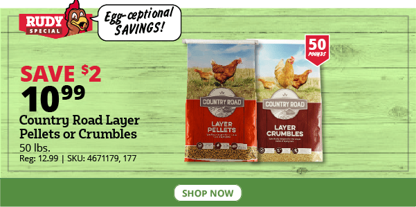 Country Road Layer Pellets or Crumbles