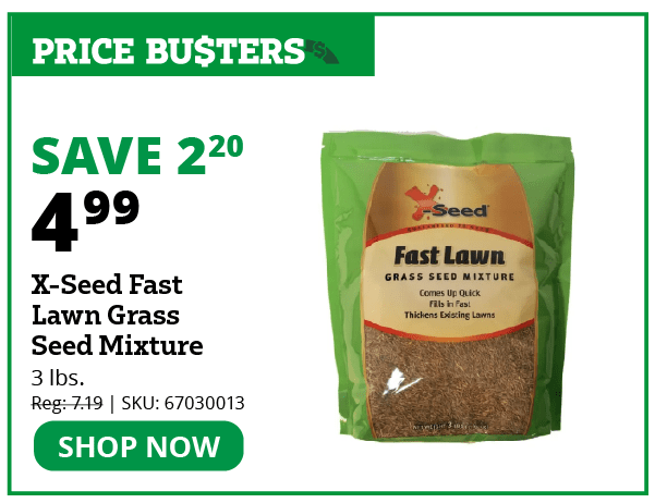 X-Seed Fast Lawn Grass Seed Mixture, 3 lb. Bag