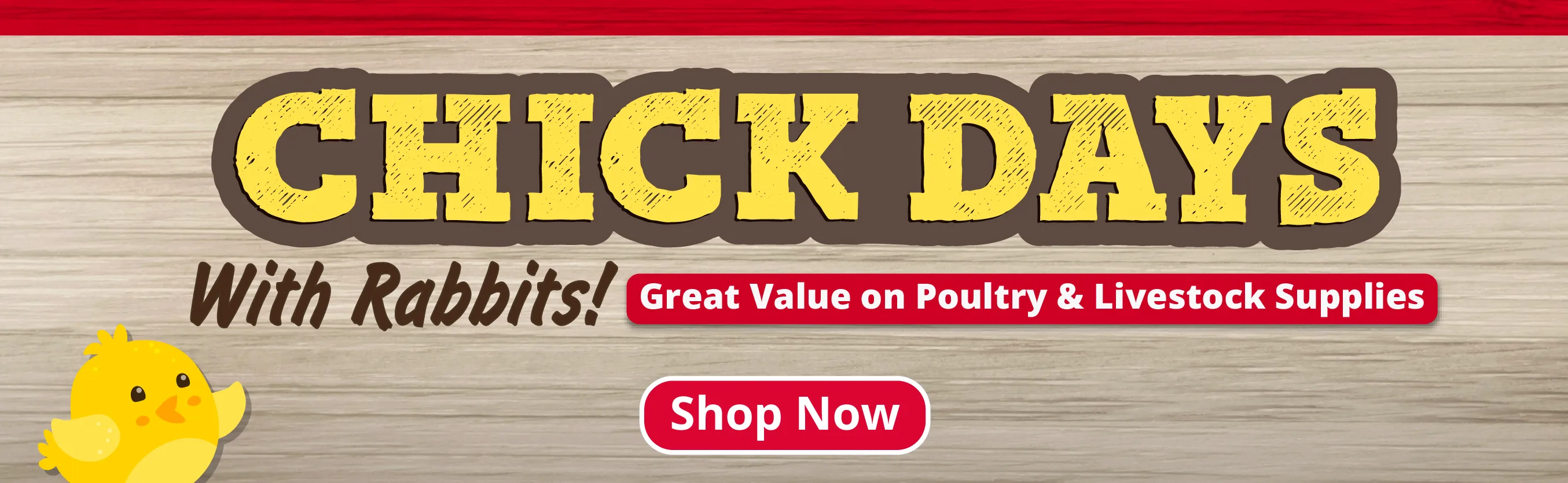 Chick Days