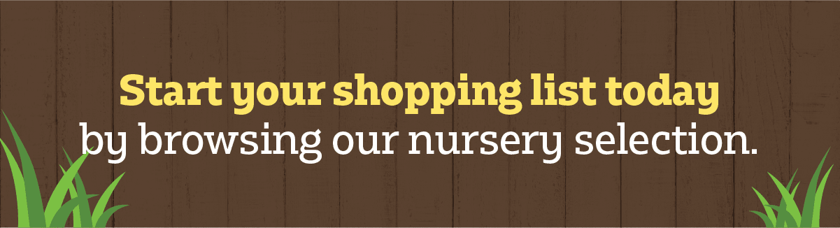 Start Your Shopping