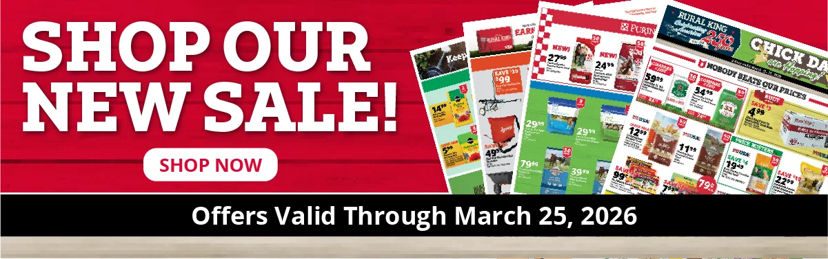 Shop Our New Sale
