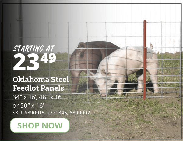  "Oklahoma
