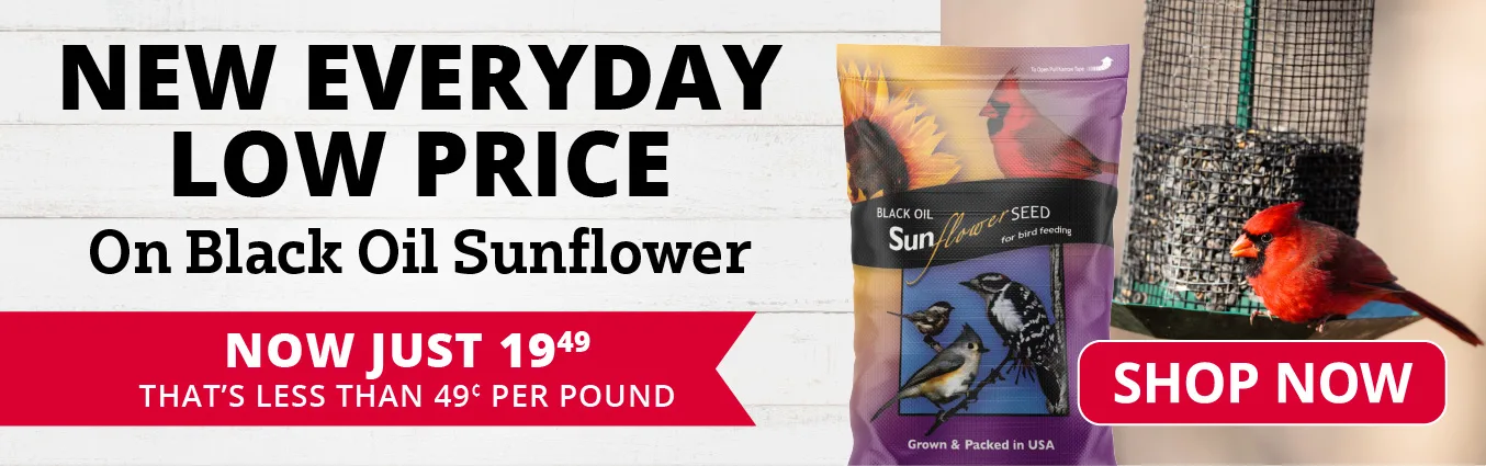 Black Oil Sunflower Seeds, 40 lb. Bag