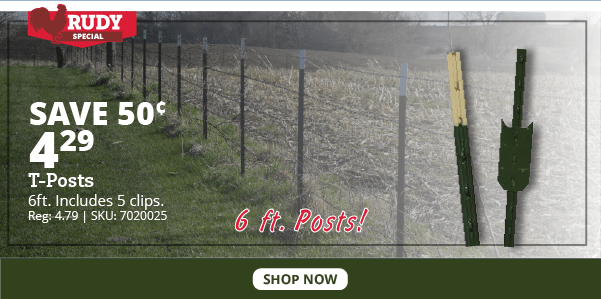 T-Posts