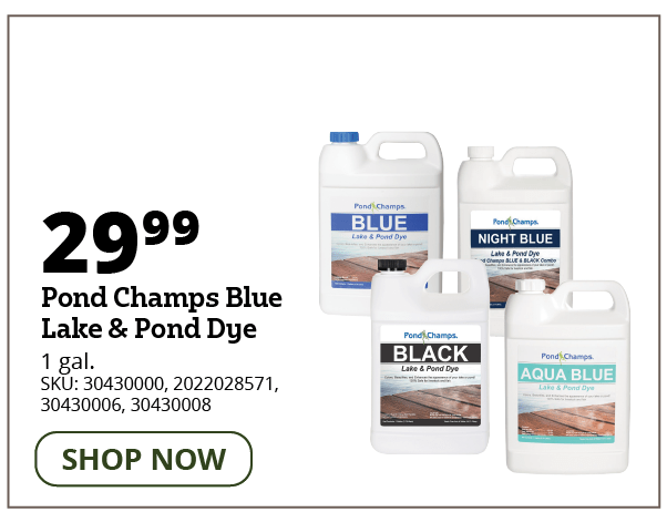 Pond Champs Lake & Pond Dye