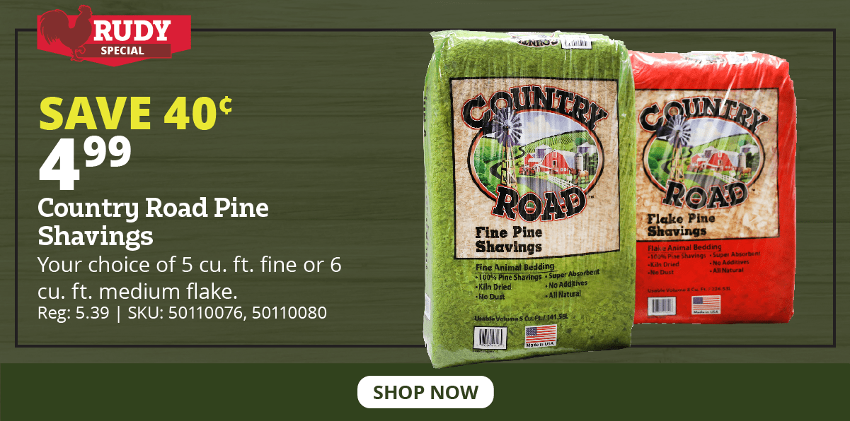 Country Road Pine Shavings
