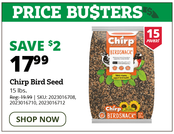 Chirp Bird Seed