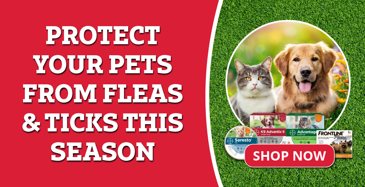 Flea and Tick Prevention