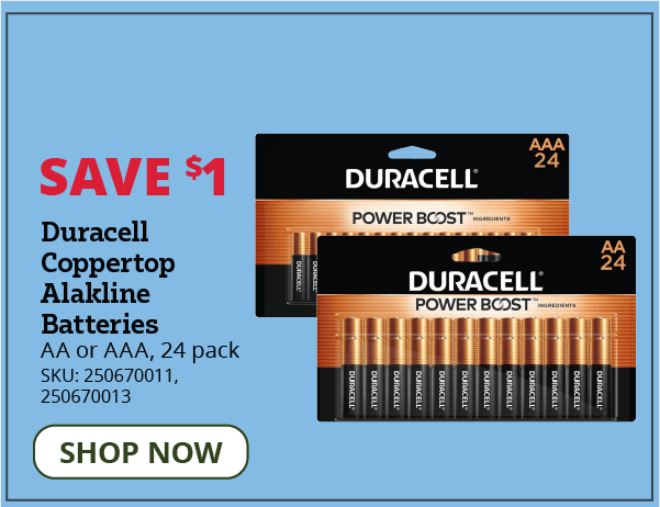 Duracell Coppertop Alakline batteries