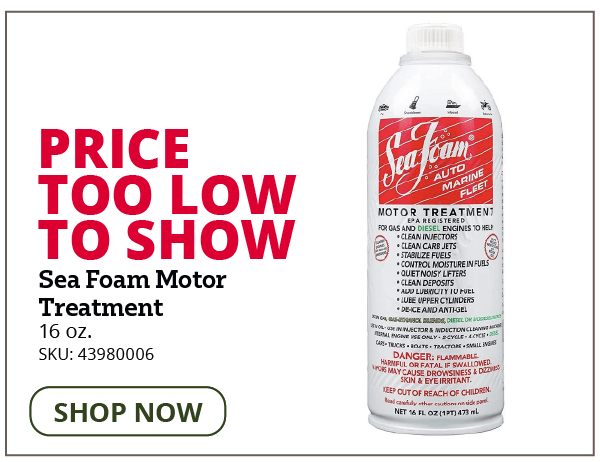 Sea Foam Motor Treatment