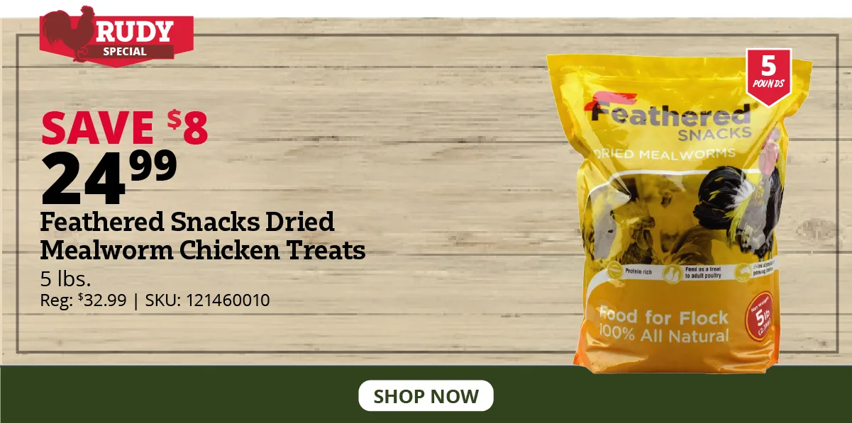 Feathered Snacks Dried Mealworm Chicken Treats, 5 lb. Bag