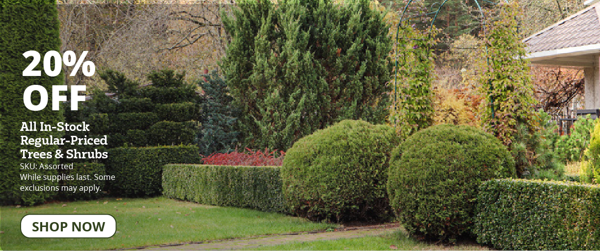 20% off All In-Stock Regular-Priced Trees & Shrubs
