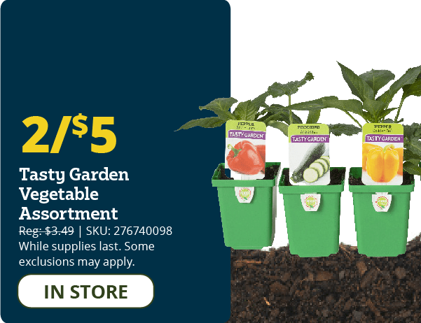 Tasty Garden Vegetable