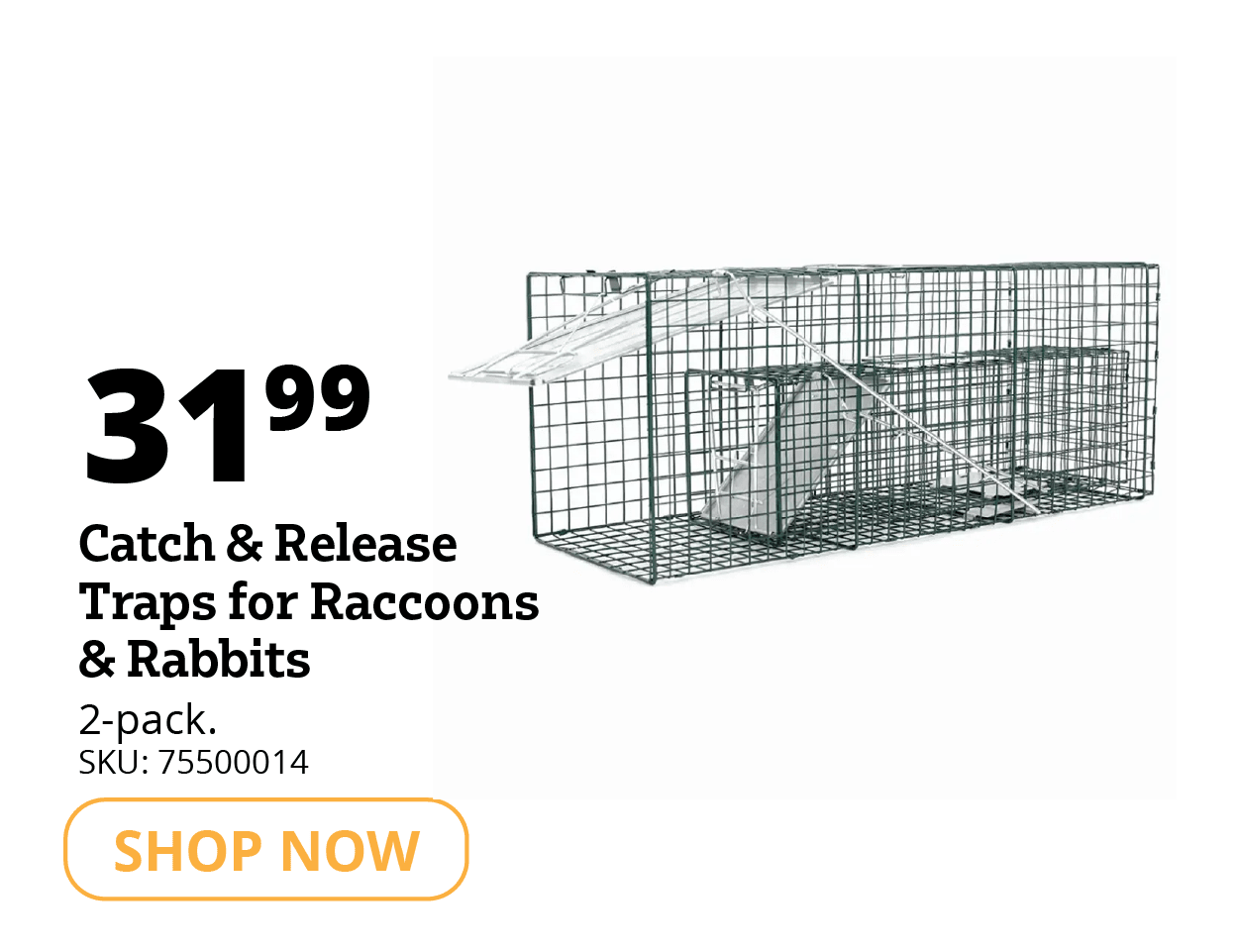 Catch & Release Traps