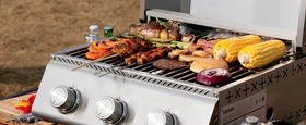 Propane BBQ Grill