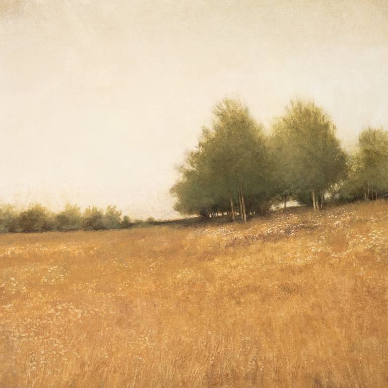 Hillside Trees 250314, Don Bishop, United States