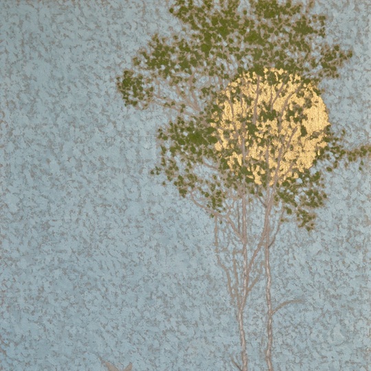 Angus Hampel