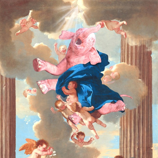 Marlies Plank