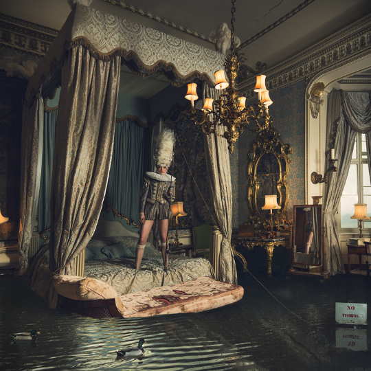 Miss Aniela