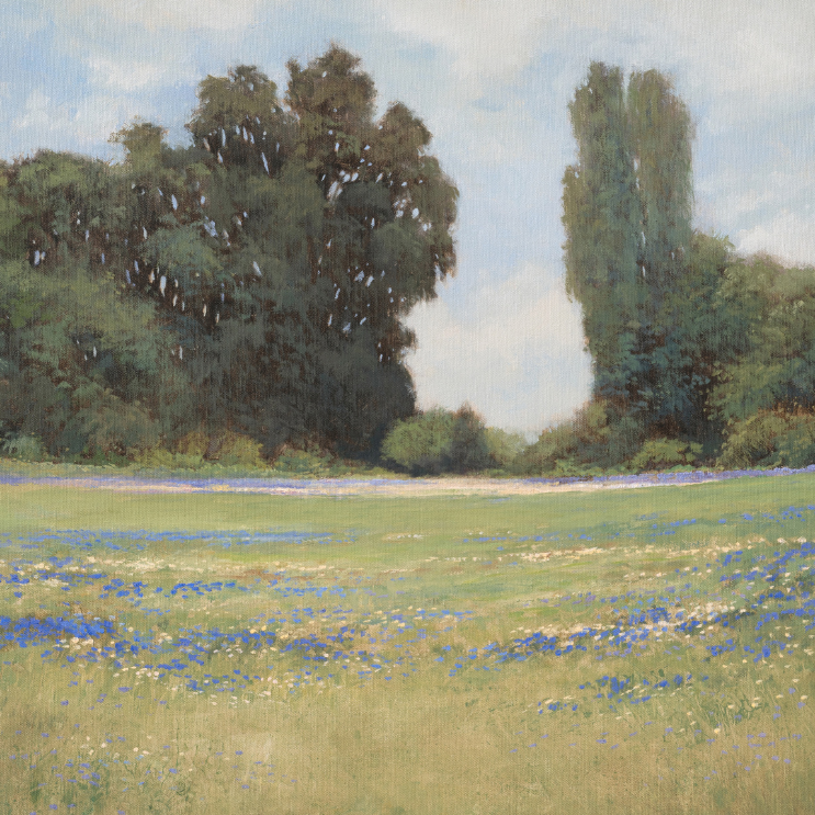 Blue Wildflowers by Don Bishop