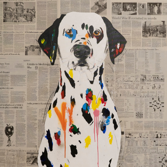 Art for the Aspiring Collector