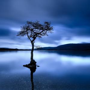 Day is Blue - Limited Edition 6 of 25