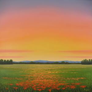 Sunlit Sky - Flower Field