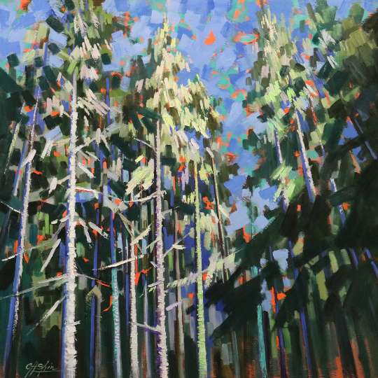 Chin H Shin