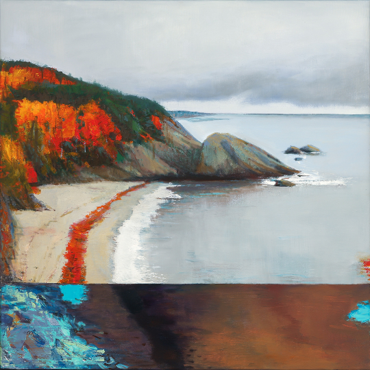 landscape of coast during fall