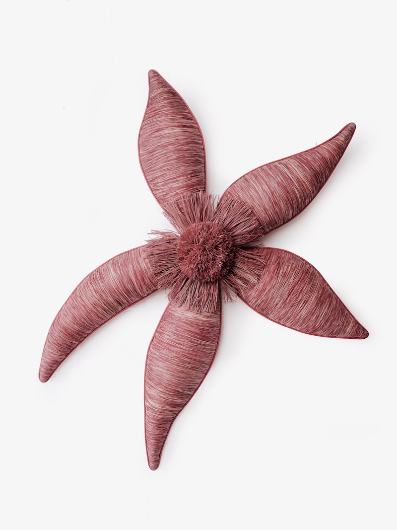 fiber sculpture of a starfish