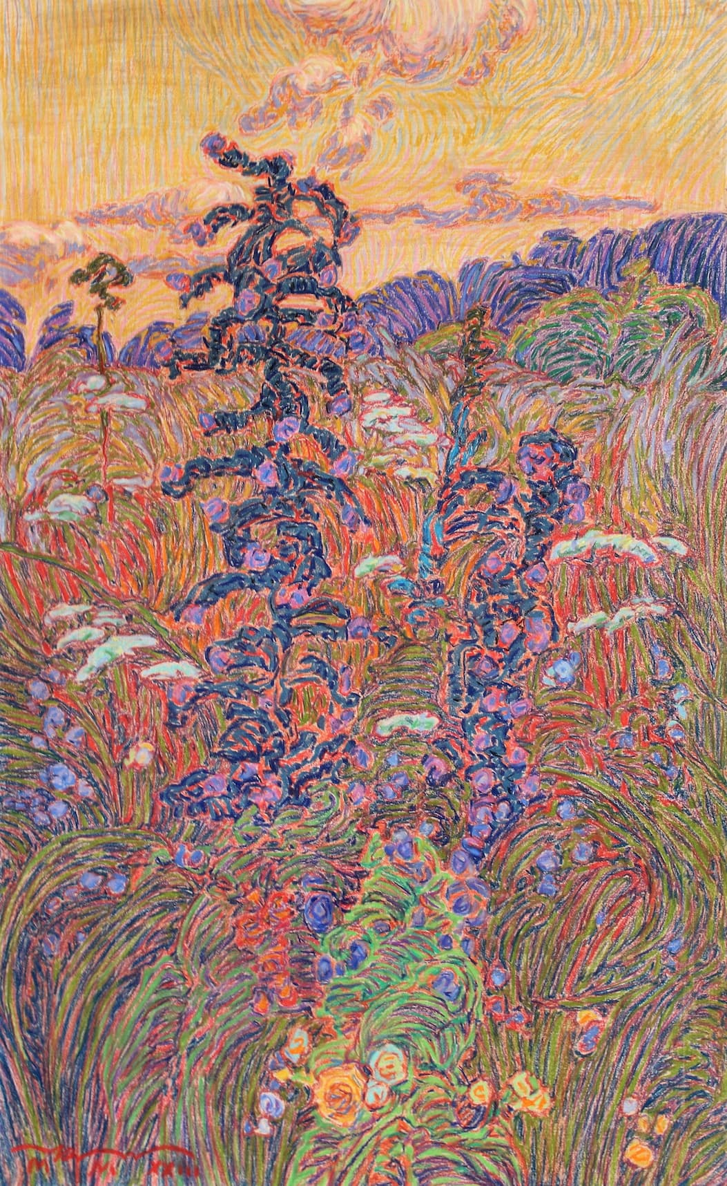 photo of flowers in a field at sunset