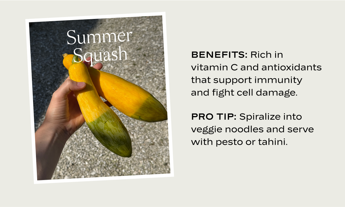 Summer Squash