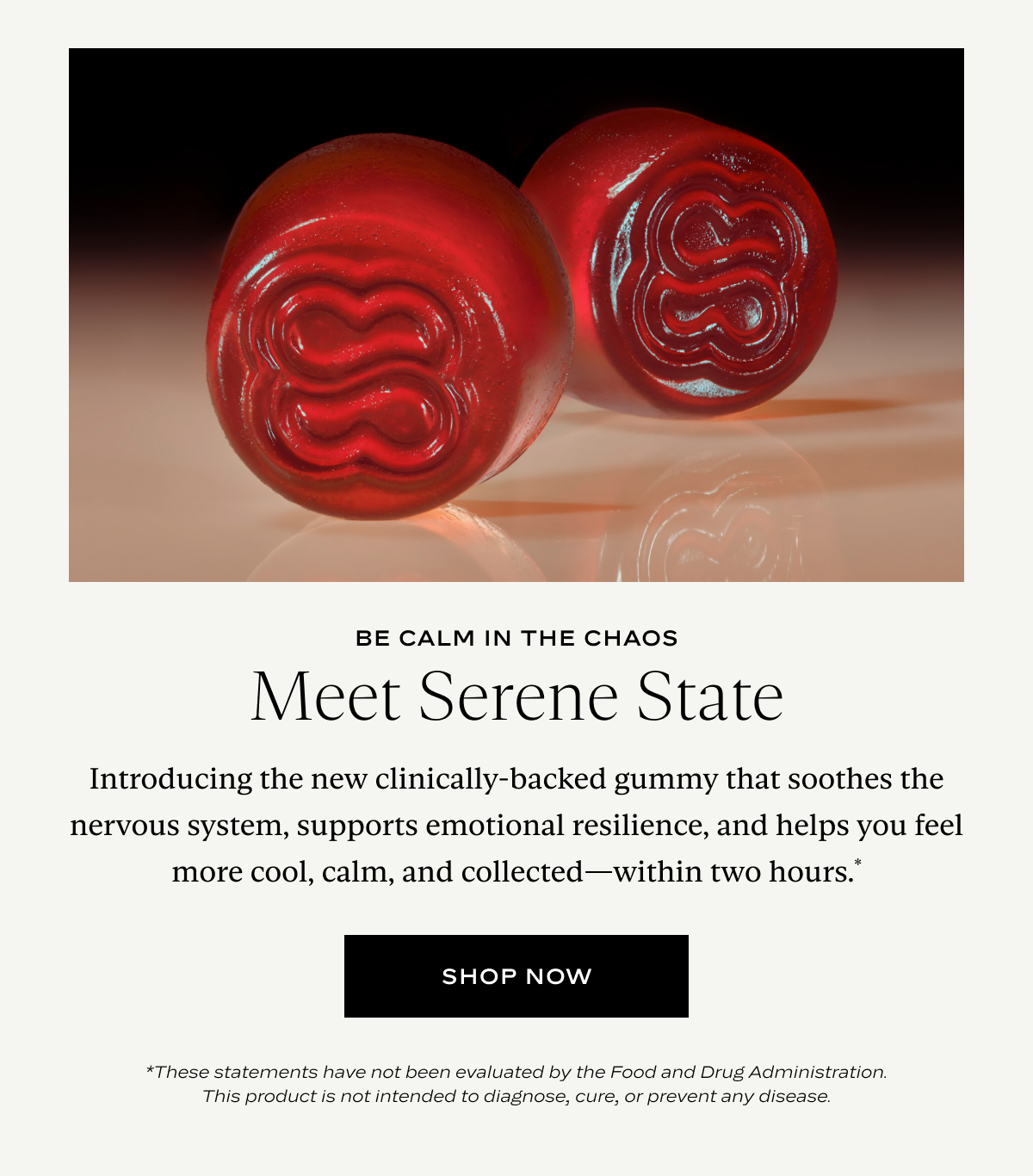 Be Calm in The Chaos: Meet Serene State 